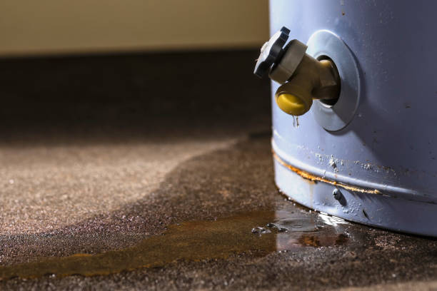 Best Local water damage restoration  in Weleetka, OK