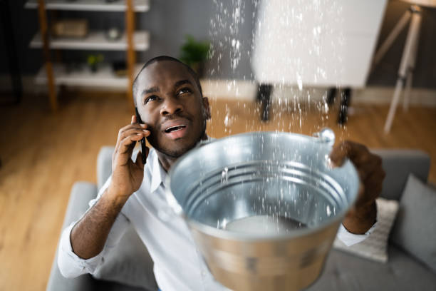 Best Mold removal after water damage  in Weleetka, OK