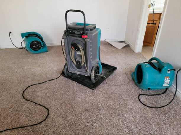 Best Local water damage restoration  in Weleetka, OK