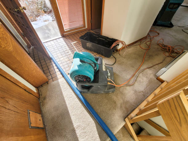 Best Mold removal after water damage  in Weleetka, OK
