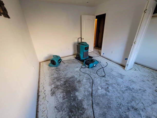 Best Water damage restoration process  in Weleetka, OK