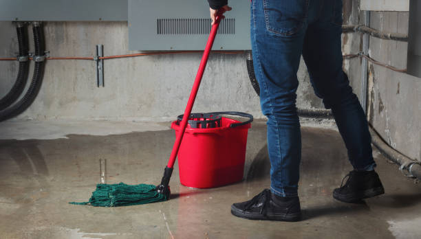 Best Water damage cleanup near me  in Weleetka, OK